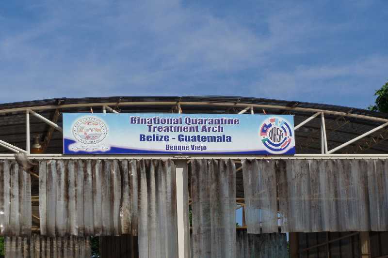 Mexico & Guatemala 2010 - 1169